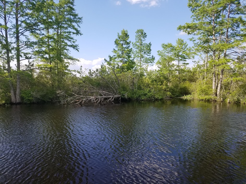 Northwest River Natural Area Preserve | VA-168, Chesapeake, VA 23322, USA | Phone: (757) 925-2318