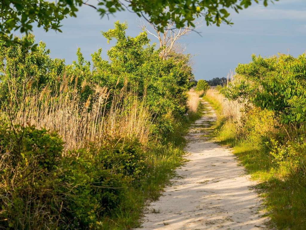 Pine Grove Trail | Pine Grove Trail, Milton, DE 19968, USA