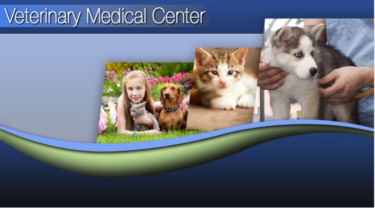 Veterinary Medical Center | 1428, 33663 Mission Blvd, Union City, CA 94587, USA | Phone: (510) 441-8500