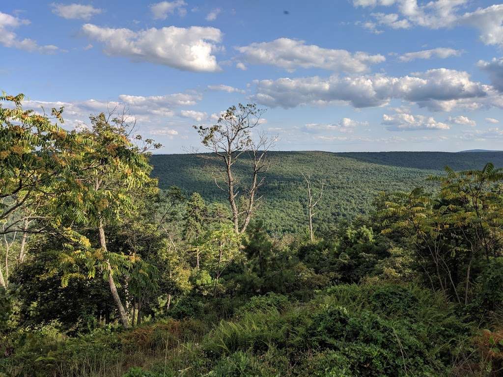 Blueberry Trail Trailhead tumbling run | Centerville Rd, Gardners, PA 17324, USA