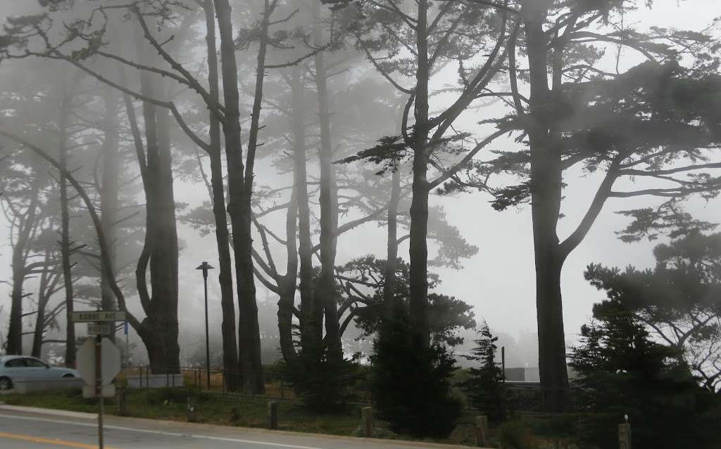 Coastal Trail | San Francisco, CA 94129