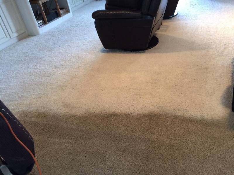 Affordable Dry Carpet Cleaning | 8585 Iris Ave, Largo, FL 33777, USA | Phone: (727) 657-5496