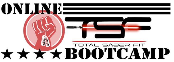 Saberation - Total Saber Fit | 880 N Military Hwy #1172, Norfolk, VA 23502 | Phone: (757) 689-7963