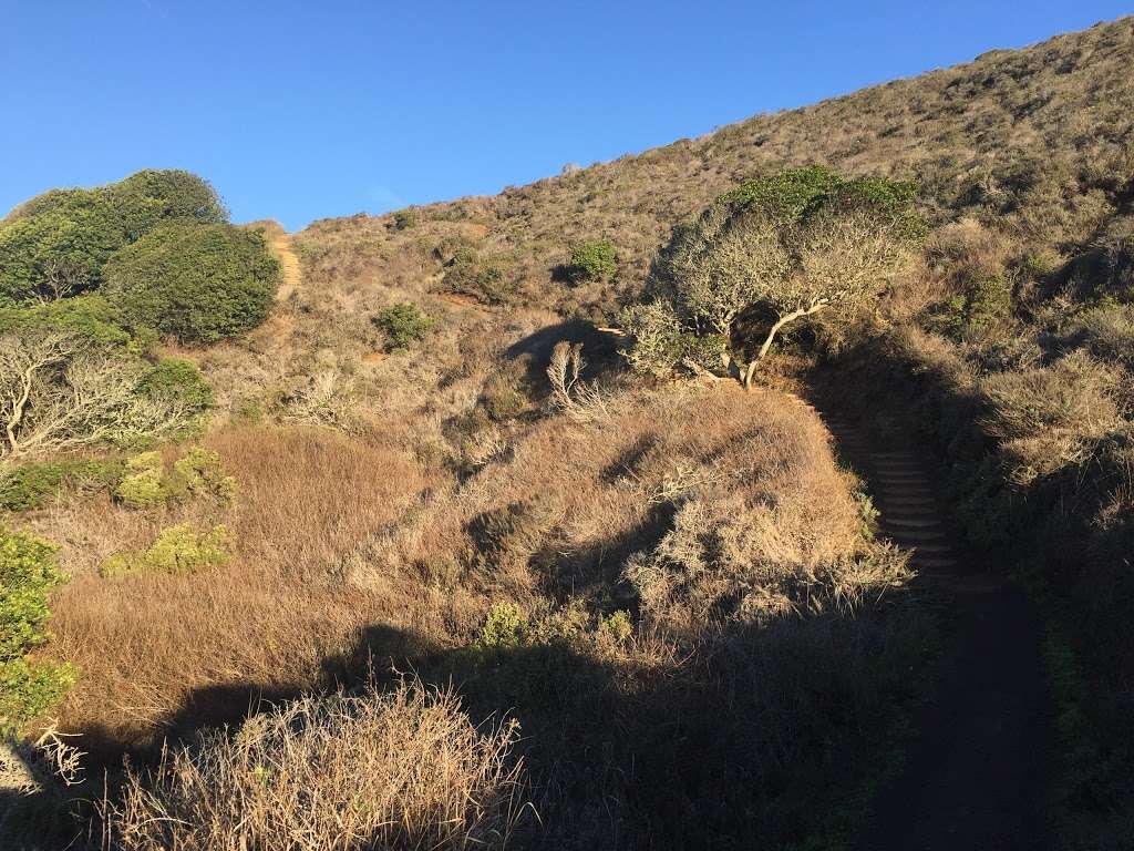 Upper Fishermans parking lot | Black Sands Beach Trail, Mill Valley, CA 94941, USA