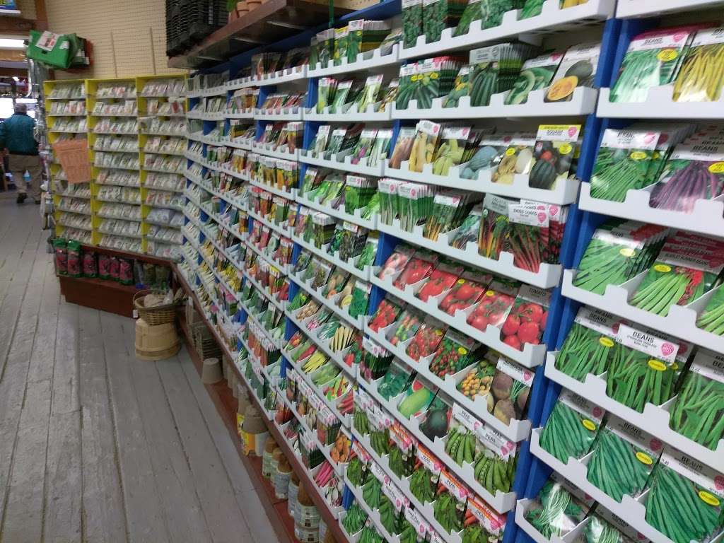 Corliss Brothers Garden Center and Nursery | 31 Essex Rd, Ipswich, MA 01938, USA | Phone: (978) 356-5422