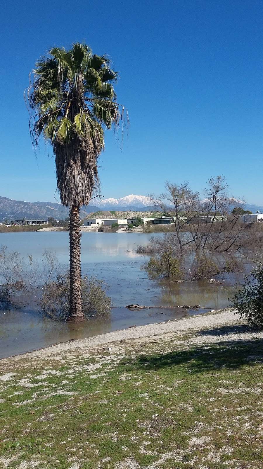 Mungi Lake | El Monte, CA 91732, USA