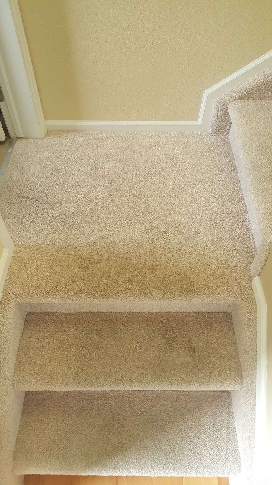 Foresight South Inc | 9078 Goosander Way, Littleton, CO 80126, USA | Phone: (303) 777-9410