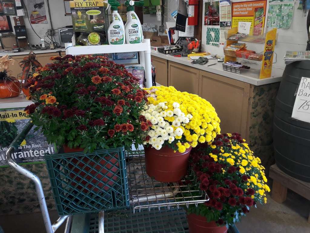 Sappers Market & Greenhouses | 5959, 1155 S Lake Park Ave, Hobart, IN 46342 | Phone: (219) 942-4995