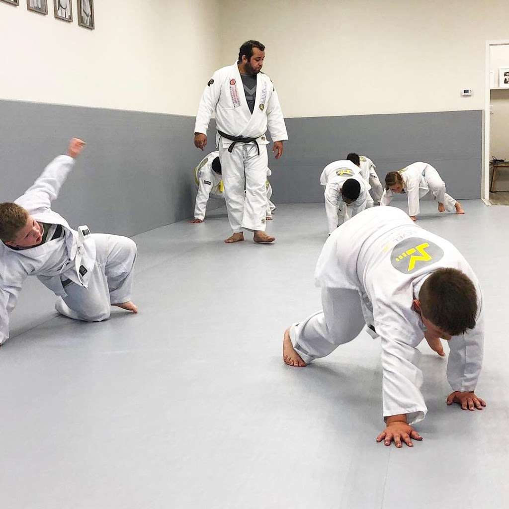 Level Up Brazilian Jiu Jitsu Cypress | 8350 Fry Rd #200, Cypress, TX 77433, USA | Phone: (346) 818-7881