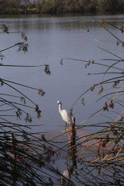 Ventura Harbor Ecological Reserve | 1400 Angler Ct, Ventura, CA 93001, USA