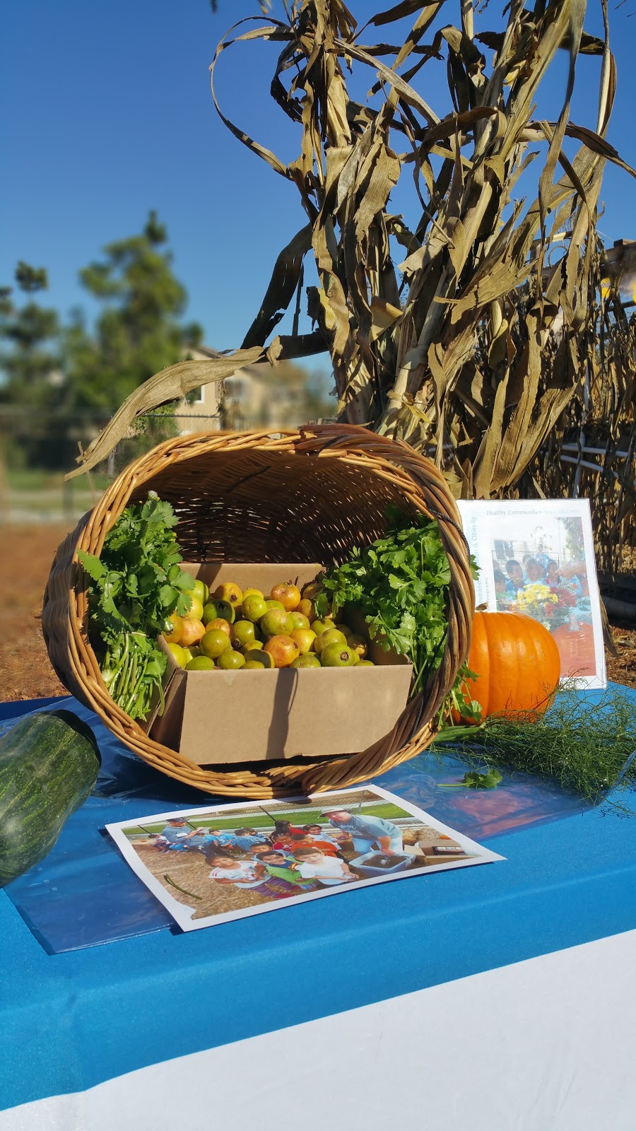 Camino del Sol Community Garden | Oxnard, CA 93030, USA