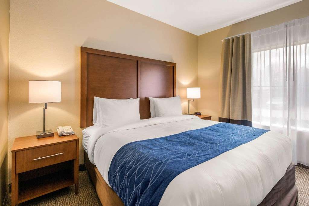 Comfort Inn & Suites IAH Bush Airport - East | 7014 Will Clayton Pkwy, Humble, TX 77338 | Phone: (281) 446-9997