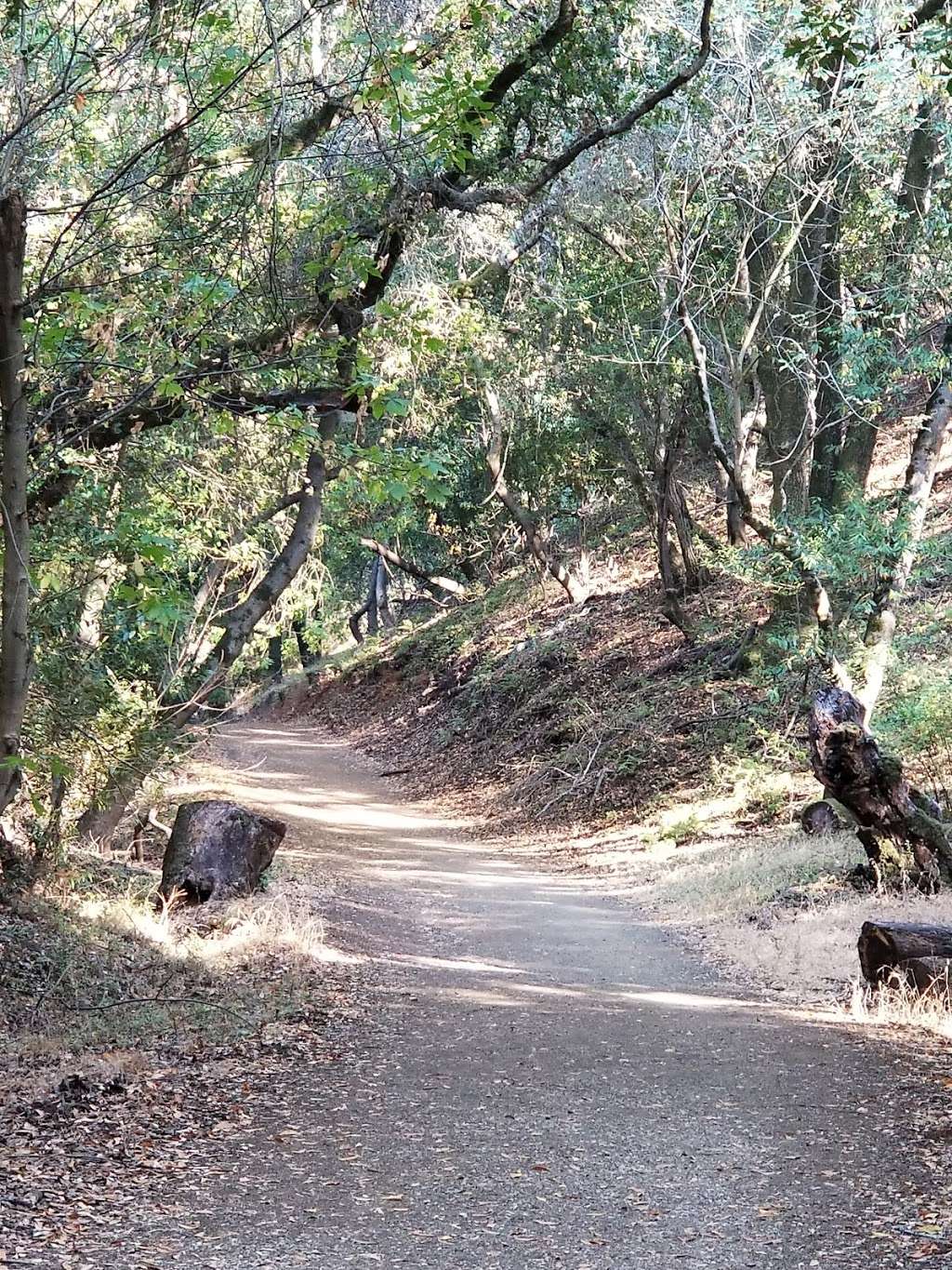 Rhus Ridge Trailhead | Rhus Ridge Trail, Los Altos Hills, CA 94022, USA Rhus Ridge Trailhead | Rhus Ridge Trail, Los Altos Hills, CA 94022, USA