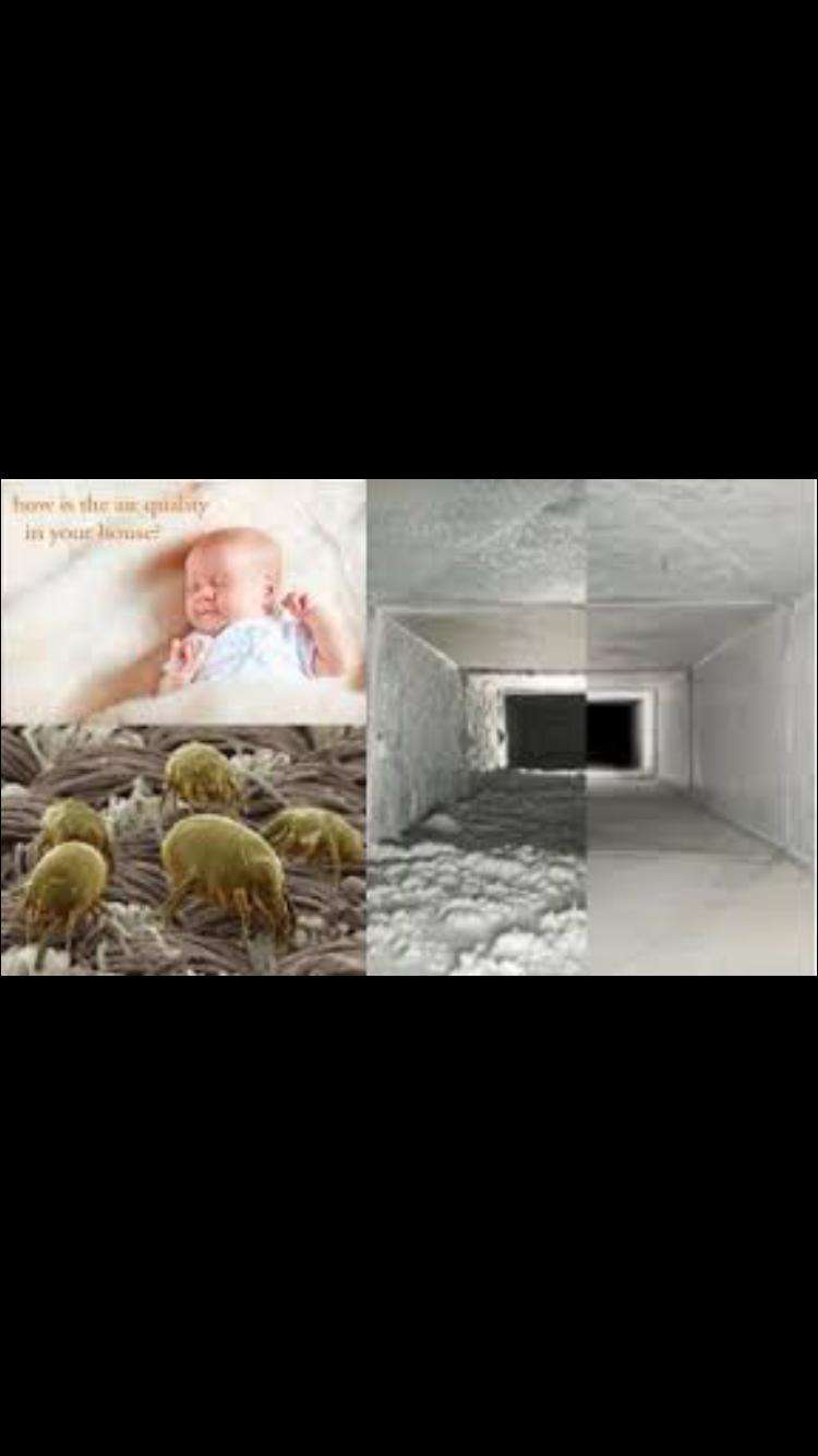 Eagle Air Duct Cleaning And Carpet Cleaning | 4611 Naples Ave, Beltsville, MD 20705, USA | Phone: (855) 640-0404