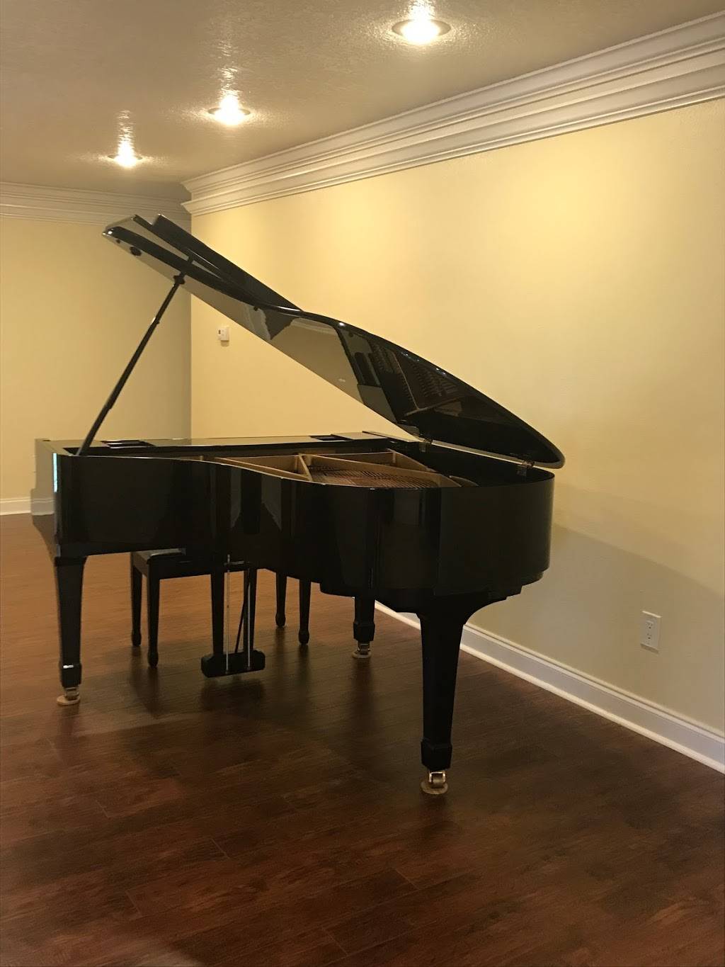 Tampa Piano School | 5825 Liverpool Dr, Tampa, FL 33615, USA | Phone: (813) 334-4642