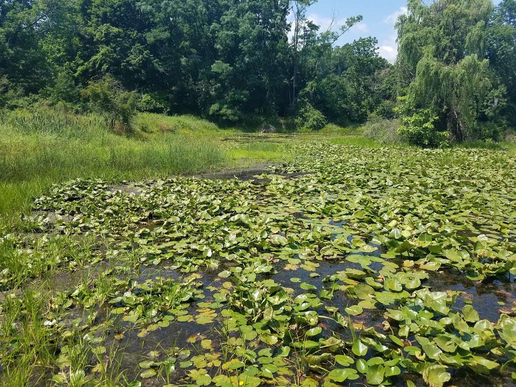 Hudson Highlands Nature Museum | 120 Muser Dr, Cornwall, NY 12518, USA | Phone: (845) 534-5506