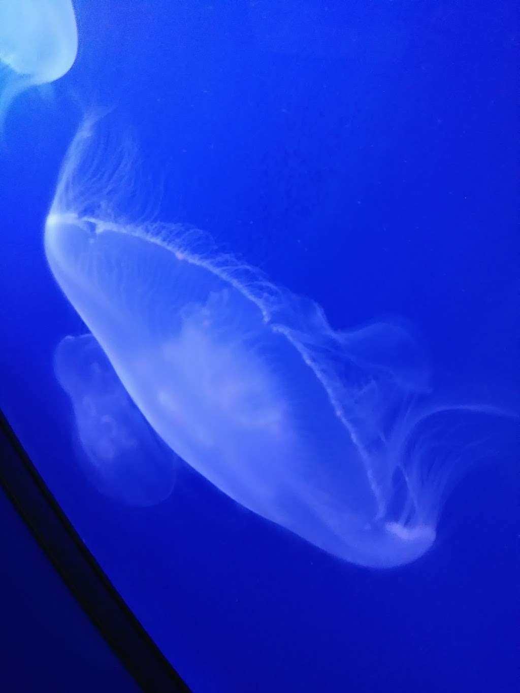 San Diego Bay National Wildlife Refuge | 1080 Gunpowder Point Dr, Chula Vista, CA 91910, USA | Phone: (619) 476-9150