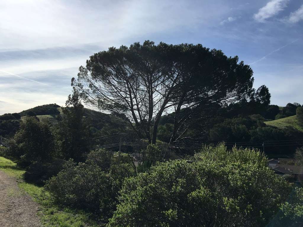 Little Mountain Open Space Preserve | Unnamed Road, Novato, CA 94947