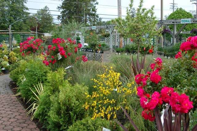 Hammetts Landscaping & Garden Center | 425 S Main St, Forked River, NJ 08731, USA | Phone: (609) 971-0453