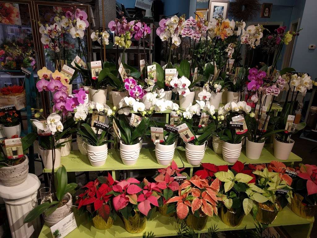 A Whole Bunch Flower Market | 326 Cambridge St, Burlington, MA 01803, USA | Phone: (781) 221-0016