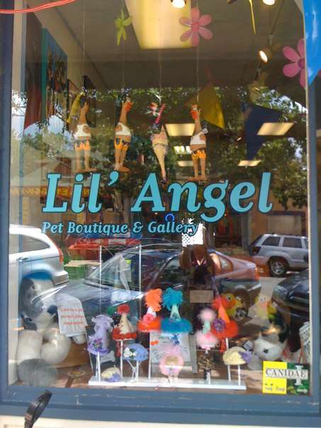 Lil Angel Pet Boutique and Gallery | 1014 S Gaylord St, Denver, CO 80209 | Phone: (303) 777-0224