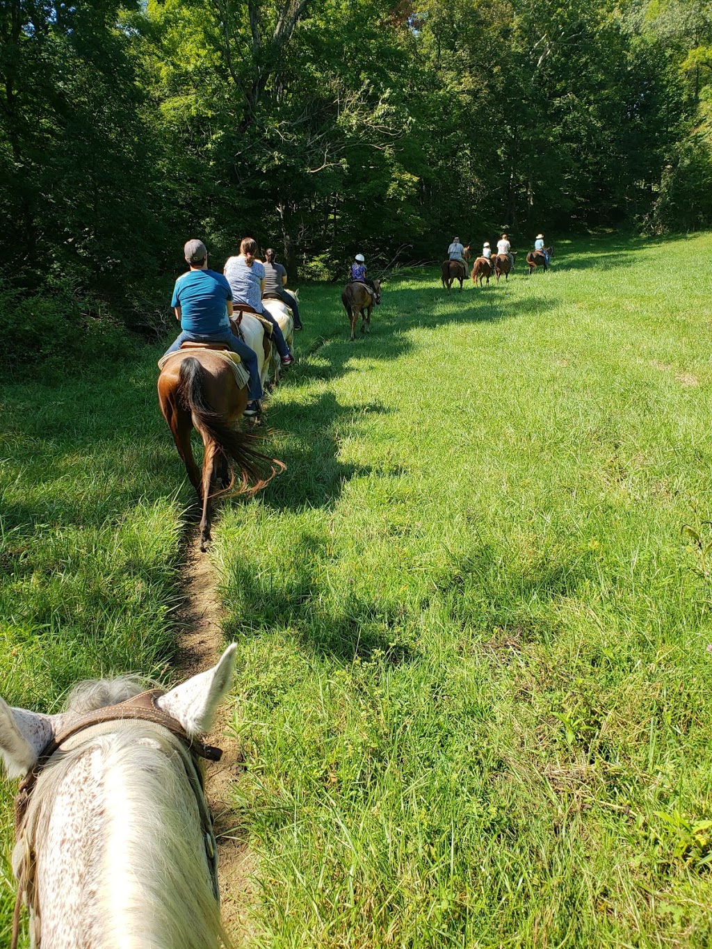 Grandpa Jeffs Trailrides | 5889 S Skinner Rd, Morgantown, IN 46160, USA | Phone: (812) 272-0702