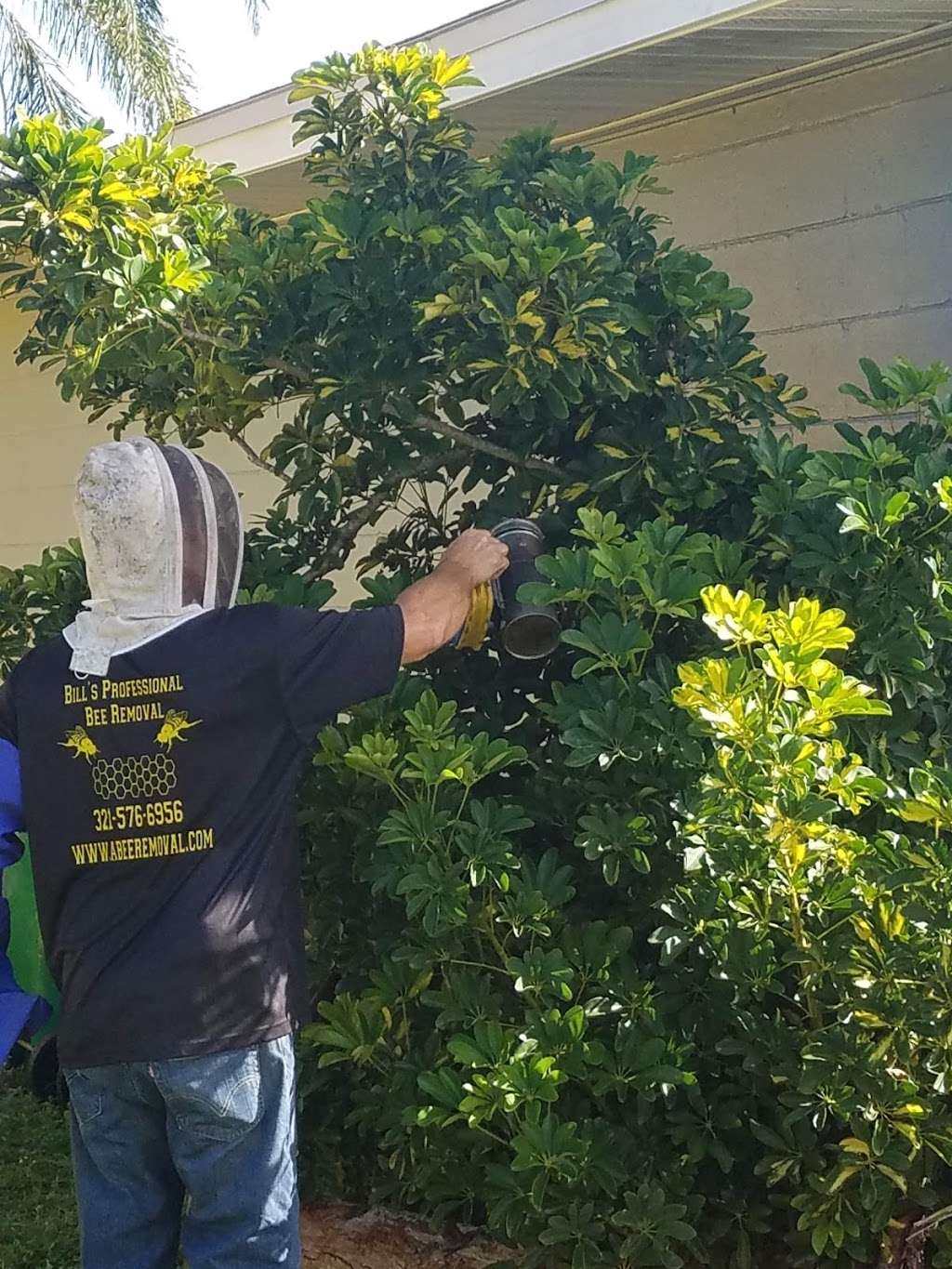 Bills Professional Bee Removal | 3431 Biscayne Dr, Merritt Island, FL 32953, USA | Phone: (321) 576-6956