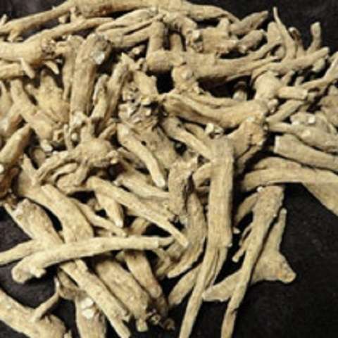 Imberger Ginseng Farm Inc | S87w23295 Edgewood Ave, Big Bend, WI 53103 | Phone: (262) 662-5535