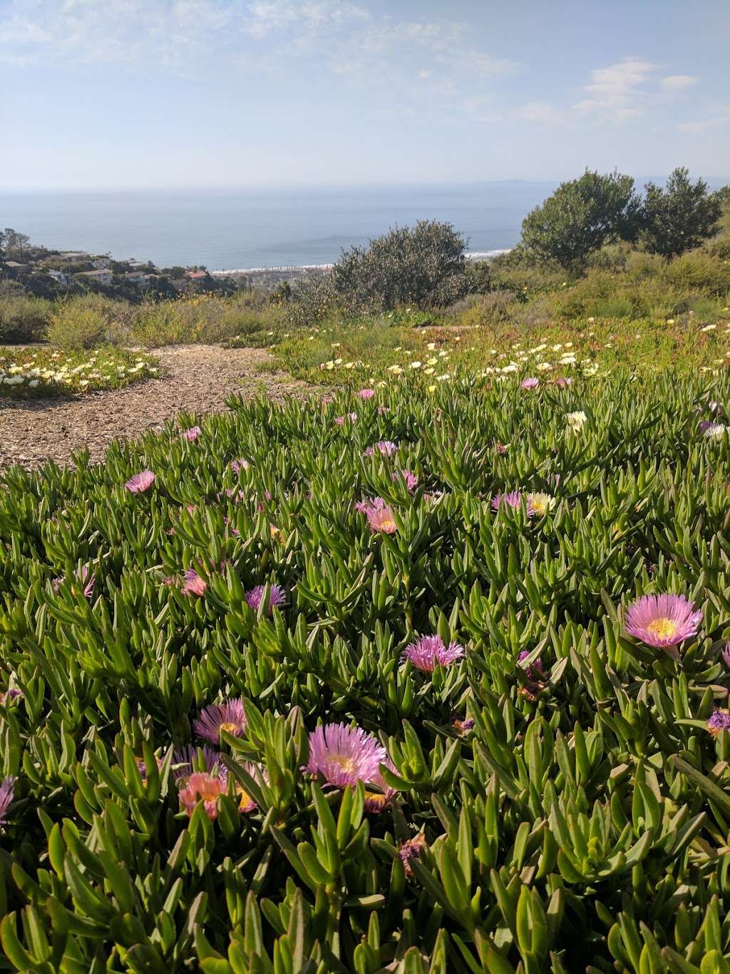 Mt. Soledad National Veterans Memorial | 6905 La Jolla Scenic Dr S, La Jolla, CA 92037, USA | Phone: (858) 459-2314