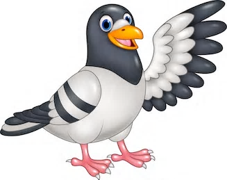 Pigeon Control Phoenix | 24820 N 16th Ave #135, Phoenix, AZ 85085, USA | Phone: (602) 978-1415