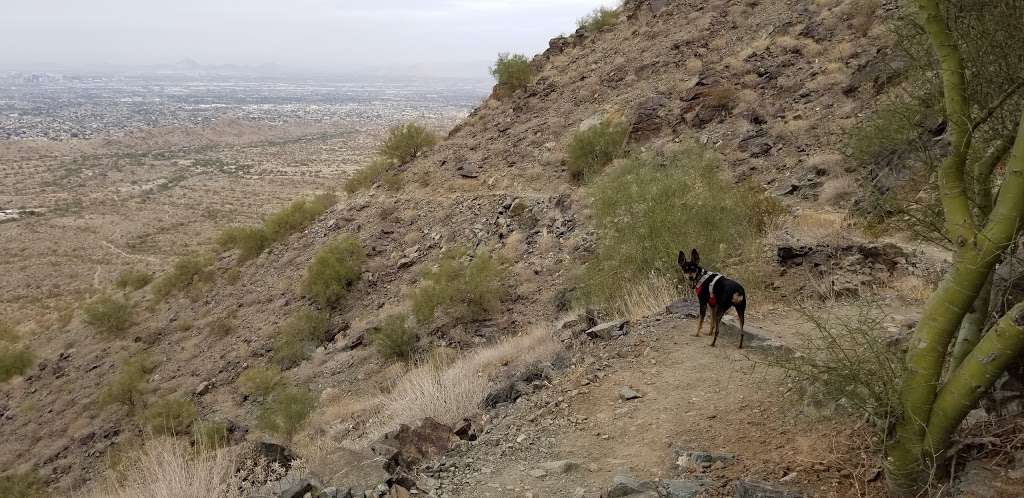 South Mountain Environmental Education Center | 10409 S Central Ave, Phoenix, AZ 85042, USA | Phone: (623) 334-7880