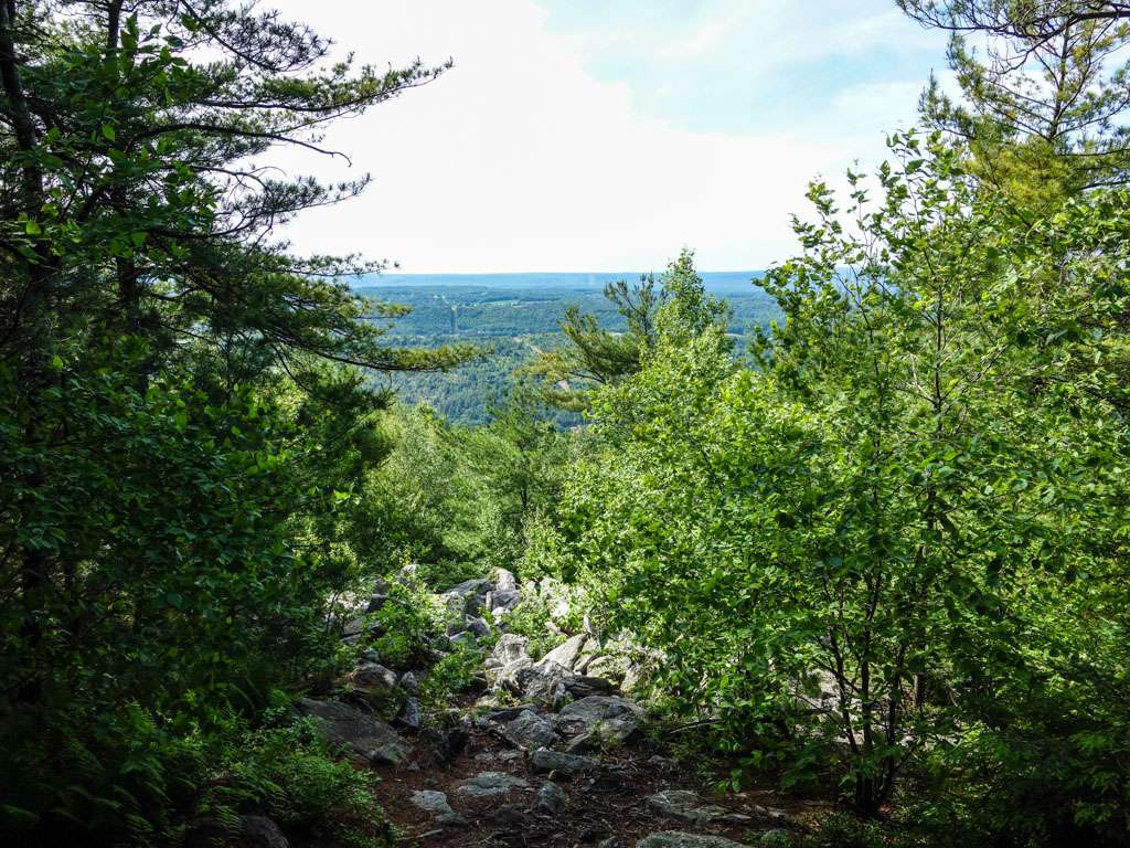 Weathering Knob | Appalachian Trail, Danielsville, PA 18038