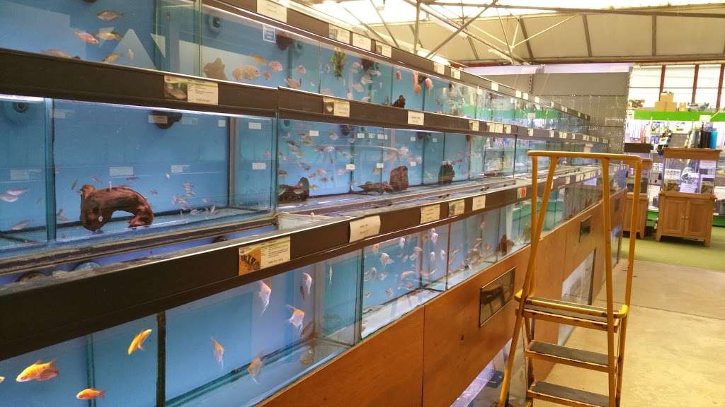 Maidenhead Aquatics Enfield | Wyevale & Cramphorn Garden Centre Cattlegate Road, Crews Hill, Enfield EN2 9DX, UK | Phone: 020 8364 6617