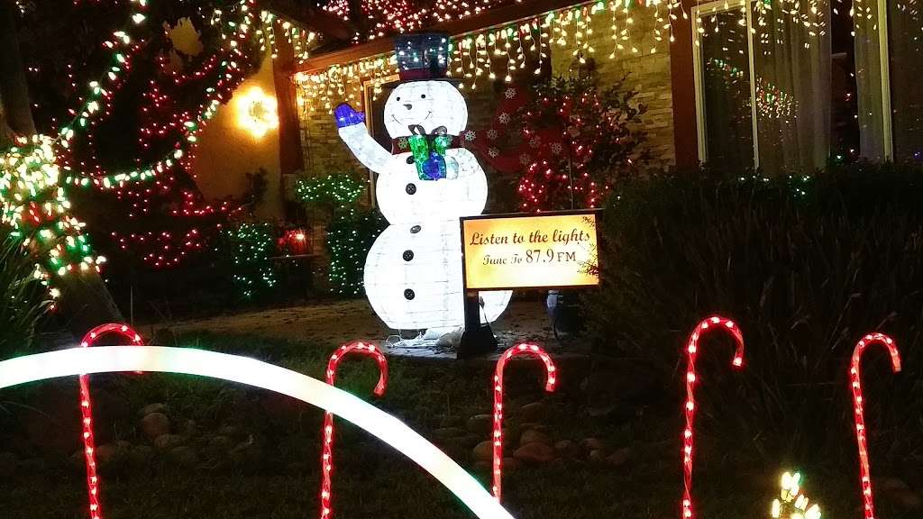 Morgans Magical Christmas Lights | 36811 Gum Ct, Newark, CA 94560