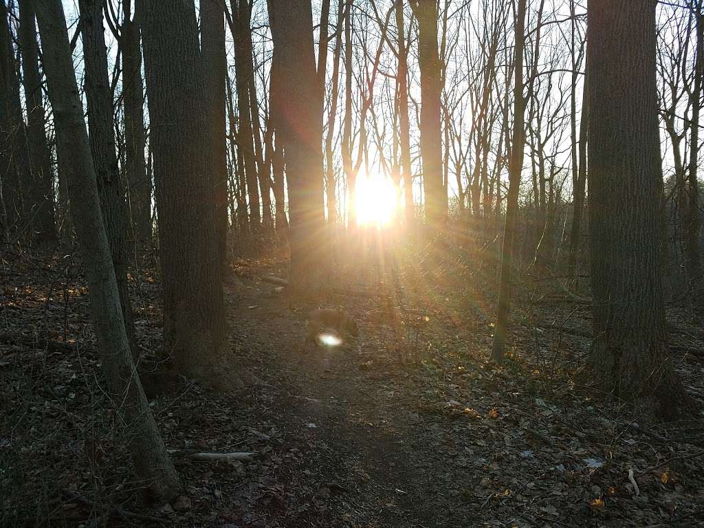 Emlen Meadow | 7306 Emlen St, Philadelphia, PA 19119, USA