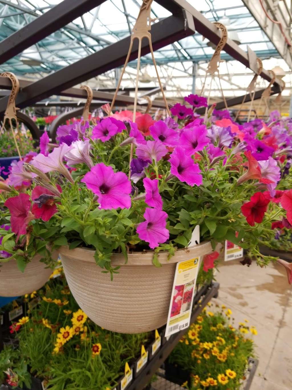 Lowes Garden Center | 18303 Rim Dr, San Antonio, TX 78257 | Phone: (210) 558-1730