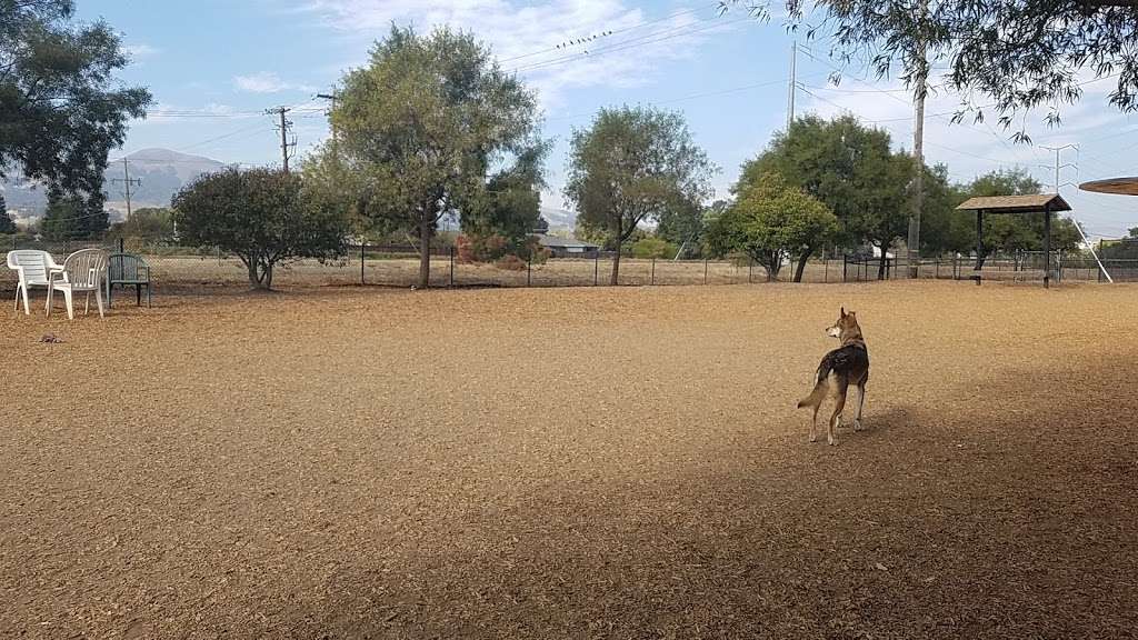 Del Mar Dog Park (Off-leash, open dawn-dusk) | 9867 Del Mar Dr, San Ramon, CA 94583