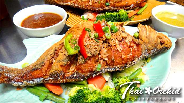 Thai Orchid | 1748 Dekalb Pike, Blue Bell, PA 19422 | Phone: (610) 277-9376