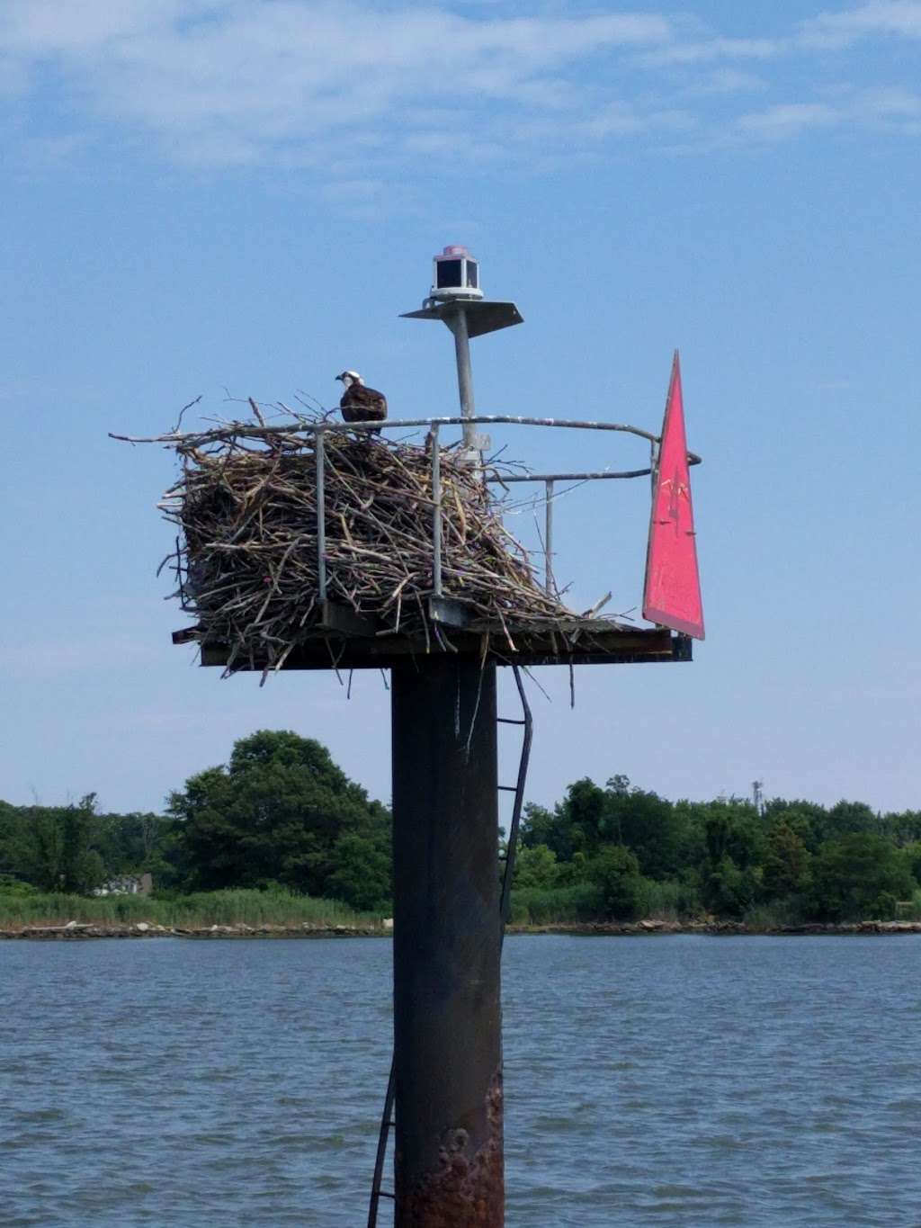 Rock Hall Marine Restoration & Heritage Center | 21083 Chesapeake Ave, Rock Hall, MD 21661, USA | Phone: (410) 725-0443