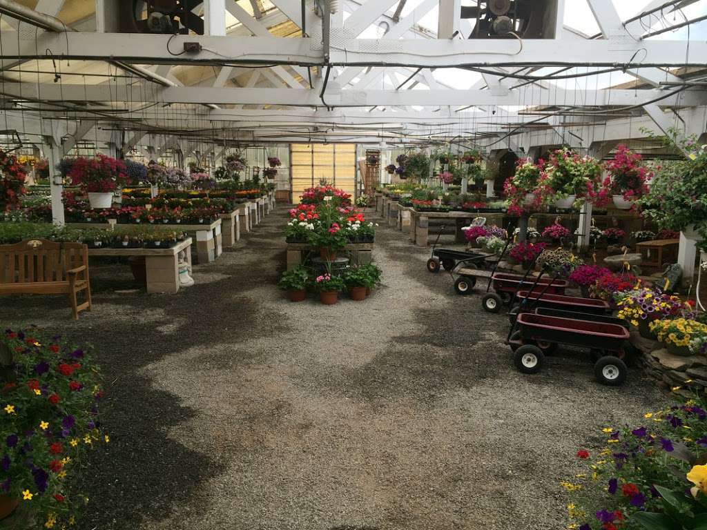 Petersons Nursery | 3730 Lawrenceville Rd, Princeton, NJ 08540, USA | Phone: (609) 924-5770