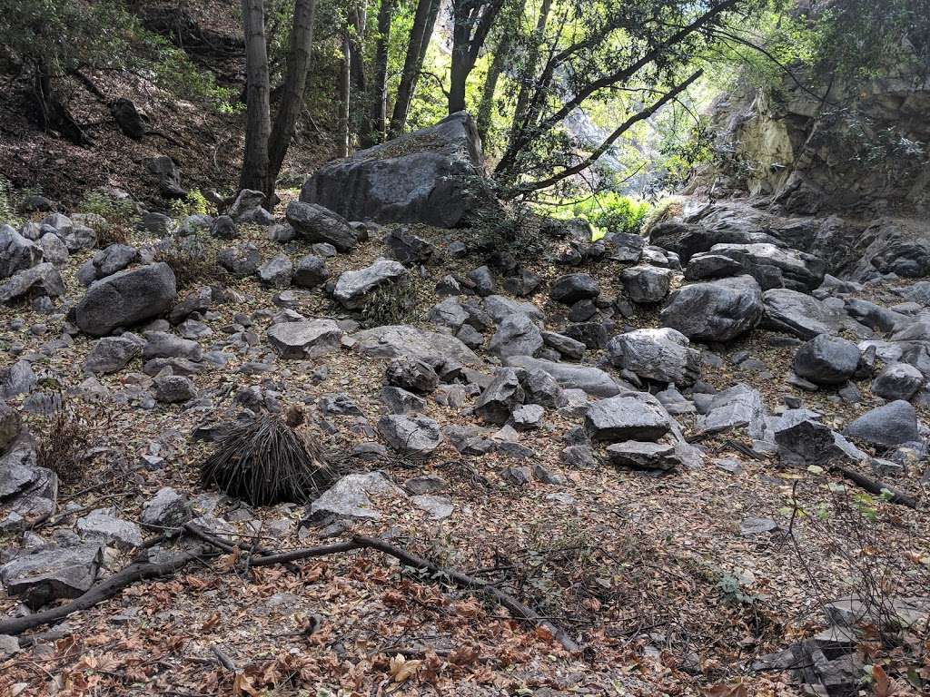 Chantry Flats Parking Lot and Trail Head | Chantry Flats Rd, Arcadia, CA 91006, USA | Phone: (626) 574-1613