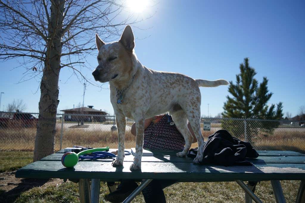 Waggin Tail Dog Park | Balsam Ave, Greeley, CO 80631