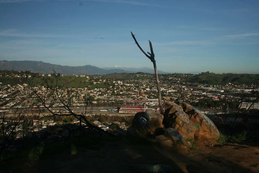 Elysian Park | Los Angeles, CA, USA