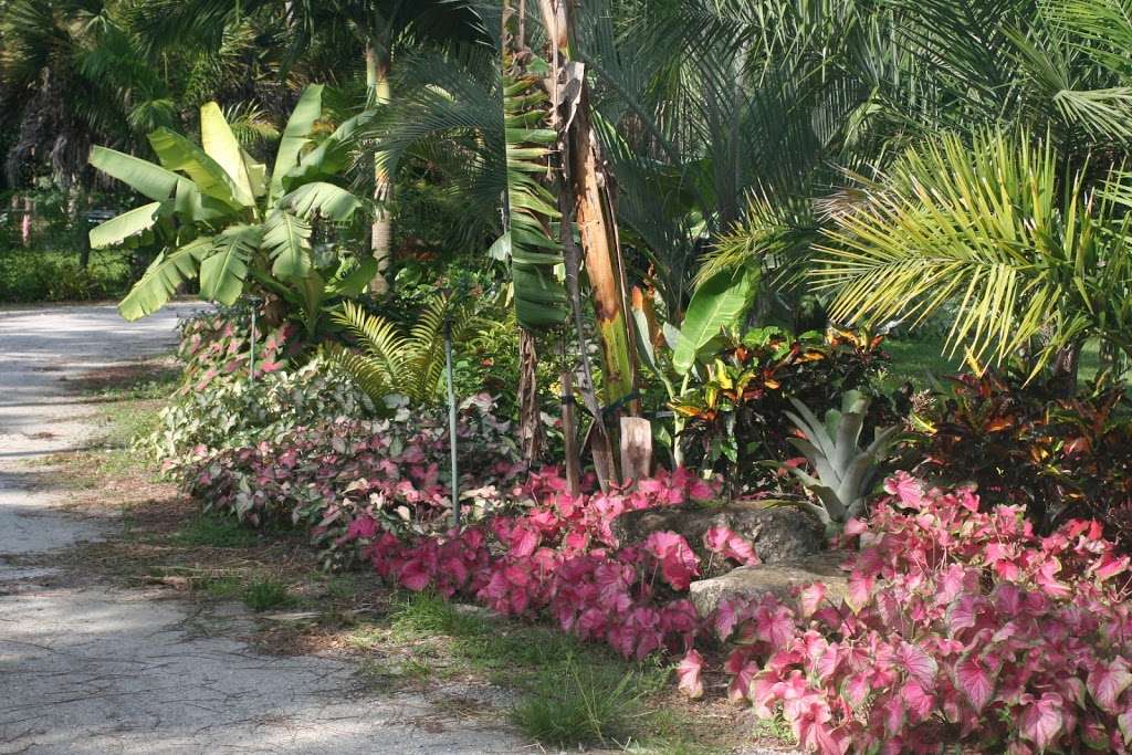 Garden Specialties at Tropical World | 1162 Hyde Park Rd Open by appointment only, Loxahatchee Groves, FL 33470 | Phone: (561) 907-1848