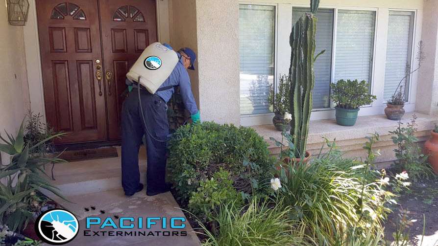 Pacific Exterminator | 1000 Business Center Cir Ste, Newbury Park, CA 91320, USA | Phone: (800) 611-0127