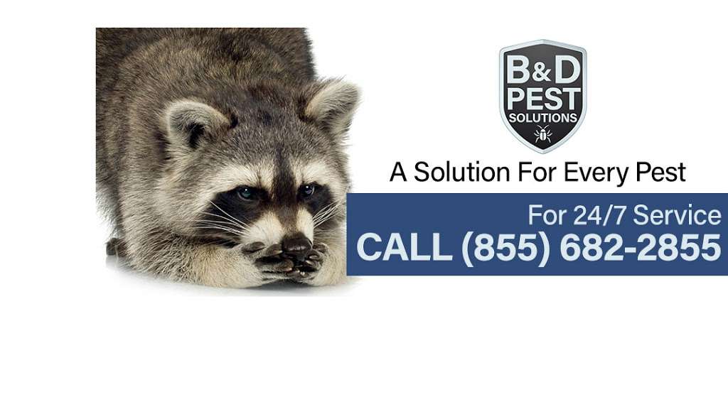 B & D Pest Solutions LLC | 235 Sharrott Ave, Staten Island, NY 10309 | Phone: (718) 305-1563