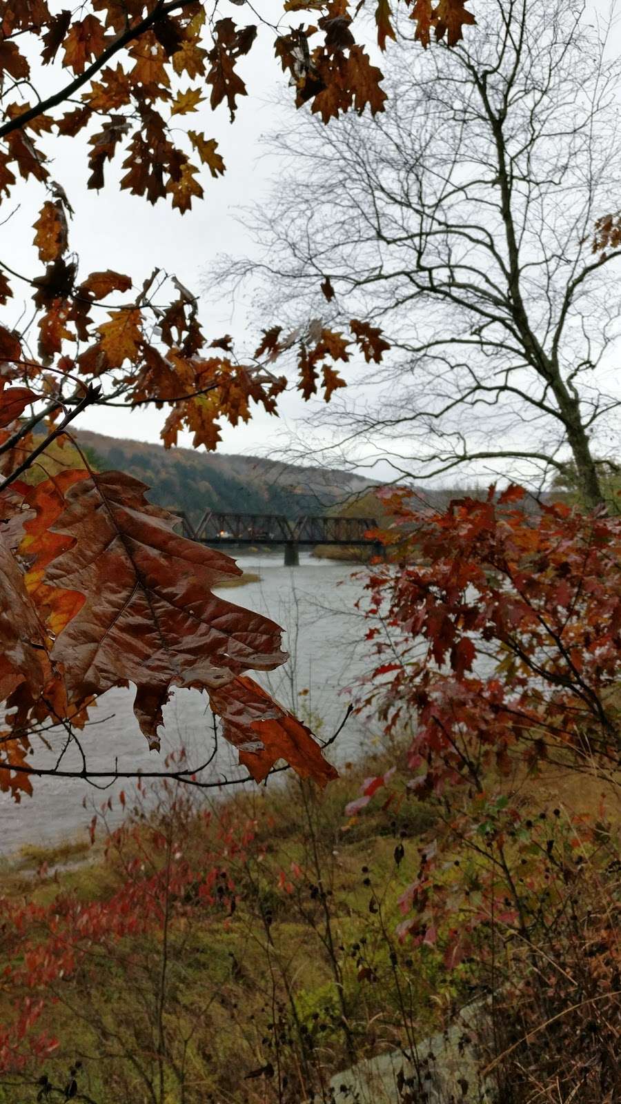 Tusten Mountain Trail | Narrowsburg, NY 12764, USA