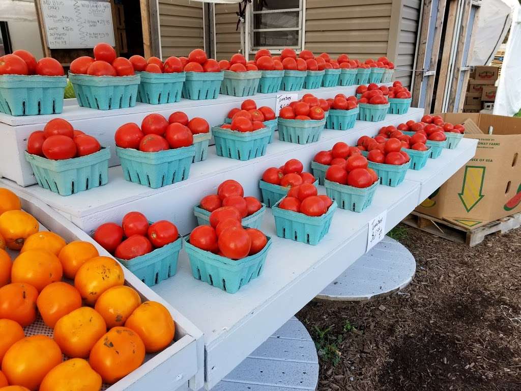 Ocean Air Produce | 30 Bayberry Rd, Bethany Beach, DE 19930, USA