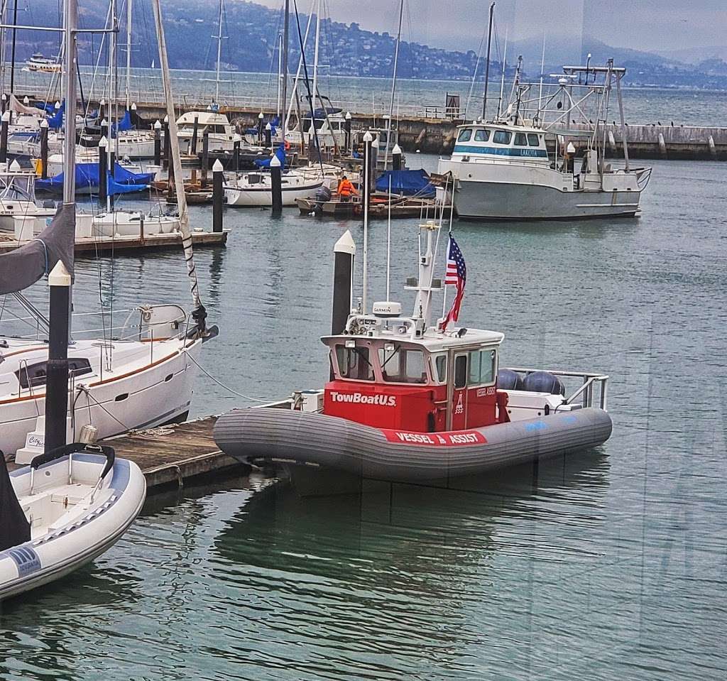 City Yachts & GasHouse Cove Marina | 10 Marina Blvd, San Francisco, CA 94123, USA | Phone: (415) 567-8880