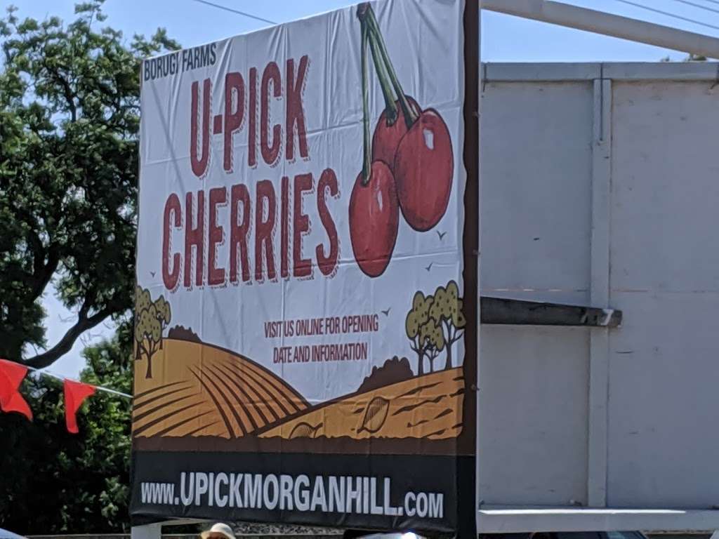 U Pick Orchards (Ranch 1) | 10850 Monterey Rd, Morgan Hill, CA 95037, USA | Phone: (408) 710-7068